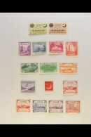 1952-1975 COMPREHENSIVE SUPERB MINT COLLECTION On Leaves, All Different, Almost COMPLETE For The Period, Inc 1954... - Pakistan