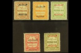 OCCUPATION OF PALESTINE 1948 Postage Due Set, Perf 12, Complete, SG PD25/9, Very Fine And Fresh Mint. (5 Stamps)... - Giordania