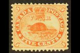 1859 5c Pale Red Beaver, SG 31, Fresh Unused. For More Images, Please Visit... - Altri & Non Classificati