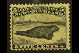 1868-73 5c Black MAJOR RE-ENTRY Position 13 (Unitrade 26, SG 38), Unused No Gum, Small Thin. This Is Probably The... - Other & Unclassified