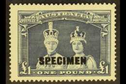 1937-49 £1 Bluish Slate Robes With "SPECIMEN" Overprint, SG 178s, Fine Mint, Very Fresh & Scarce. For... - Sonstige & Ohne Zuordnung