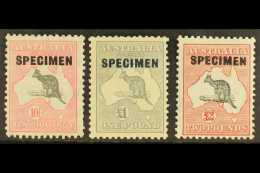 1931-36 10s, £1, And £2 Kangaroo's With "SPECIMEN" Overprints Set, SG 136s/138s, Fine Mint. (3 Stamps)... - Autres & Non Classés