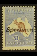 1913-14 £1 Brown & Ultramarine, 'Roo, First Watermark, "Specimen" Handstamp, SG 15s, Never Hinged Mint.... - Sonstige & Ohne Zuordnung