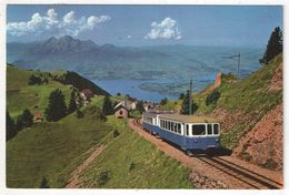 Arth-Rigi-Bahn Unterhalb Rigi-Kulm - Blick Auf Vierwaldstättersee Und Pilatus - Train - Arth