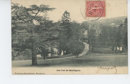 Delcampe - MONTLIGNON - Une Vue De Montlignon - Montlignon