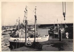 ¤¤  -  LA TURBALLE  -   Le Port   -  Bateaux De Pêche   -  ¤¤ - La Turballe