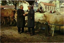 SANCOINS UN JOUR DE FOIRE ,BEAU PLAN ANIME ,MARCHANDS DE BESTIAUX,VACHES REF 52970 - Ferias