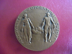 MEDAILLE De Bronze MINISTERE De L' AGRICULTURE De 1972 Signé Corbin - Mutualité Coopération Crédit @ 50 Mm Pour 70 Gr. - Professionals / Firms