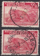 200 Congo Belga 1942 Leopardo Leopard - Iscrizioni Invertite -Belge Belgisch Belgian Used - 1884-1894