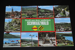 1440- Schwarzwald - Other & Unclassified