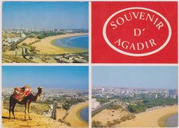 AFRIQUE,AFRICA,AFRIKA,MAROC,MOROCCO,MAGHREB,AGADIR - Agadir