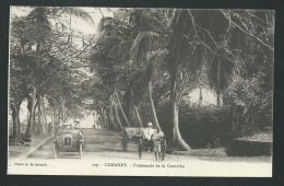 Guinée  - Conakry  - Promenade De La Corniche  - Ode83 - Guinée Française