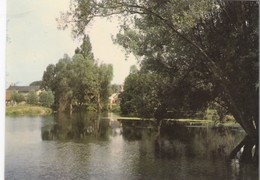 MEHUN SUR YEVRE. - Le Lac. CPM RARE - Mehun-sur-Yèvre