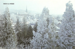 CA - Q - Sous La Neige : Le Charme De Dame Nature Arborant Sa Parure... Na N'a Pas Son Pareil Au Saguenay–Lac-Sain - Saguenay