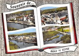 77-BRAY-SUR-SEINE - MULTIVUES - Bray Sur Seine