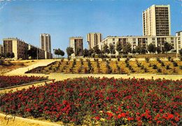 77-MONTEREAU-SURVILLE- LES JARDINS - Montereau