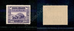 1935/38 - 10 Lire Pittorica 2° Emissione (228) - Gomma Integra - Raybaudi (1.125) - Other & Unclassified