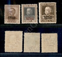 1928 - Soprastampati (116/118) - Serie Completa - Gomma Integra (600) - Otros & Sin Clasificación