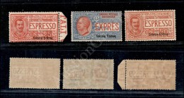 1907/21 - Espressi Soprastampati (1/3) - Serie Completa - Gomma Integra (550) - Otros & Sin Clasificación