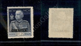 1925/26 - 1,25 Lire Giubileo Del Re Dent 13 1/2 (26) - Gomma Integra (1.500) - Autres & Non Classés