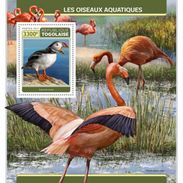 Togo. 2017 Water Birds. (307b) - Flamants