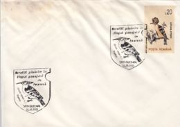 BIRDS, HOOPOE,  SPECIAL POSTMARKS AND STAMP ON COVER, 1993, ROMANIA - Spechten En Klimvogels