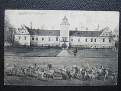 AK NEU AIGEN Neuaigen Jagdschloss B. Tulln 1910 // D*26030 - Tulln