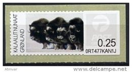 GREENLAND (2011) - Fauna - Boeuf Musqué / Moschusochse / Musk Os, Muskox / Moskusokse / Buey - Ovibos Moschatus  (M037) - Machine Stamps