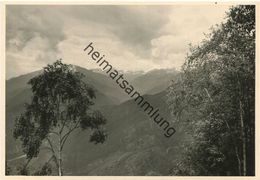 Blick Ins Centovalli Bei Locarno 1955 - Foto-Postkarte Grossformat - Centovalli