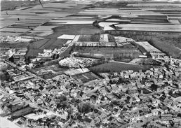 80-LE CROTOY- EN AVION VUE PANORAMIQUE - Le Crotoy