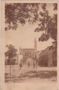 AFRIQUE DU NORD,ALGERIE,LAGHOUAT,el Aghouat,oasis,oued,desert ,Mosquée,timbre 1929,carte Ancienne - Laghouat