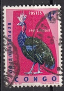 436 Congo 1963 (Democratica) Birds Uccelli Afropavo Congensis Pavone Congolese Grigia Used - Grues Et Gruiformes