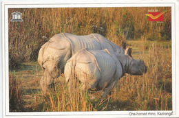 Couple De Rhinocéros Unicorne D'INDE, Carte Postale Adressée ANDORRA, Avec Timbre à Date Arrivée - Rhinoceros