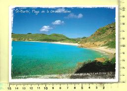 CPM, GUADELOUPE: Saint-Barthélémy, Plage De La Grande Saline - Saint Barthelemy