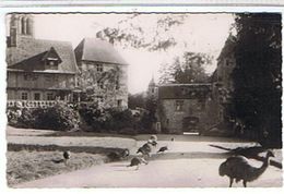 76.CLERES     PARC  ZOOLOGIQUE  ET  LE MANOIR +EMEUS  CPSM  TBE  KK997 - Clères