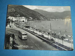 Cartolina Laigueglia - Passeggiata A Mare 1955 - Savona