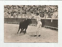 Cp , Corrida , LA COURSE DE TAUREAUX , Ed : Chatagneau , N° 1 , Une Paire De Banderilles De LUIS MIGUEL DOMINGUIN - Corridas