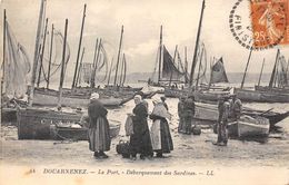 29-DOUARNENEZ- LE PORT , DEBARQUEMENT DES SARDINES - Douarnenez