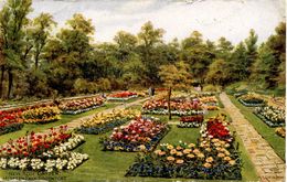 A R QUINTON - SALMON 3236 - NEW ROSE GARDEN, HESKETH PARK, SOUTHPORT - Quinton, AR