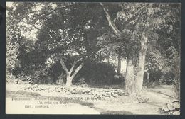 +++ CPA - ELOUGES - Pensionnat Ste Thérèse - Un Coin Du Parc   // - Dour