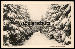 ALTE POSTKARTE MEERANE IN SACHSEN WILHELM-WUNDERLICH-PARK 1944 Winter Tannen Schnee Ansichtskarte Postcard Cpa AK - Meerane