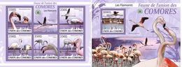 Comores 2009, Animals, Birds Flamingos, 5val In BF +BF - Flamingo