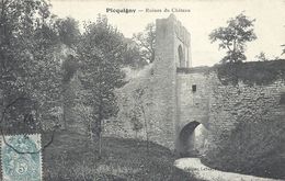 SOMME - 80 - PICQUIGNY - Ruines Du Château - Picquigny