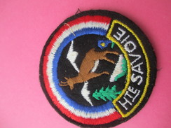 Ecusson Tissu/ Département / Haute Savoie / Chamois/ Années 1960 - 1970        ET170 - Patches