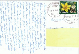 RO+ Rumänien 2013 Mi 6675 Sumpfdotterblume Auf PK Sighisoara - Storia Postale