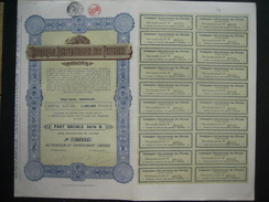 Lot De 5 Parts Sociales De La COMPAGNIE INTERNATIONALE DES PETROLES - BRUXELLES 1925 - Erdöl