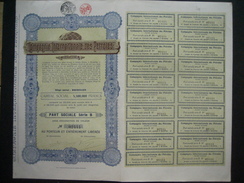 Lot De 5 Parts Sociales De La COMPAGNIE INTERNATIONALE DES PETROLES - BRUXELLES 1925 - Oil