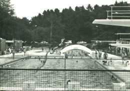 N°54219 GF-cpsm Bagnoles De L'Orne -la Piscine Municipale- - Natation