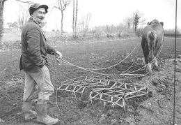 LE FAOUET - VILLENEUVE BARREGANT - Lucien L'Hermitte Et Son Cheval Rossignol En 1986 - Tirage Limité à 100 Ex - Faouët