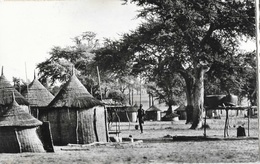 Guinée Française (A.O.F.) - Village Bassari - Edition Quartier Latin, Konakry - Guinea Francese